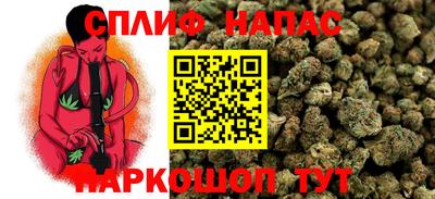 крисы Бузулук