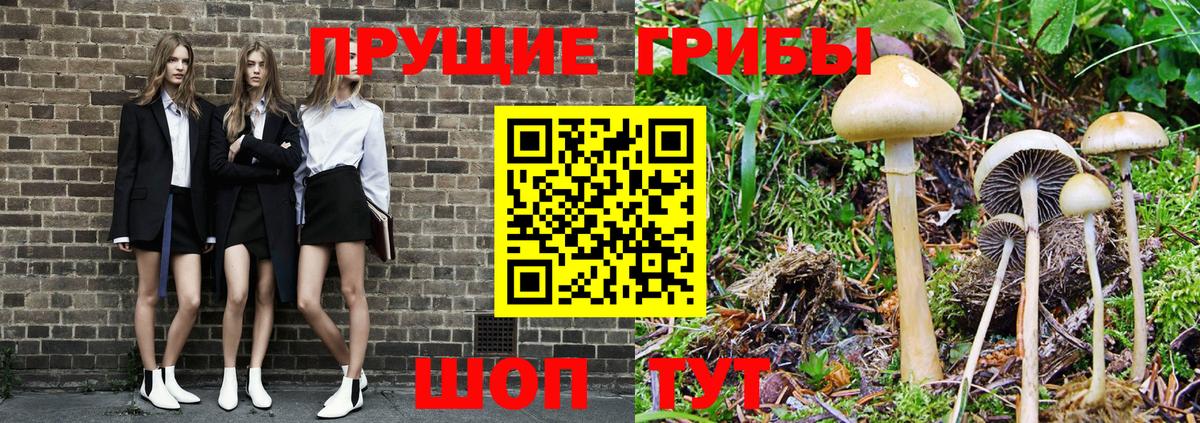 Галлюциногенные грибы Cubensis  Вход с VPN  Тельмана 